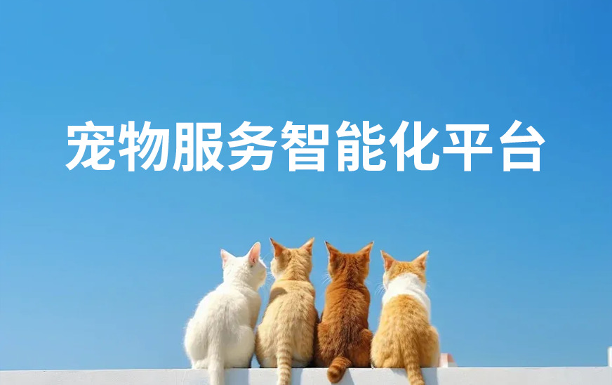 签约某某公司项目